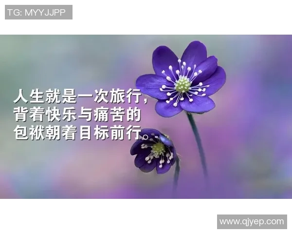 追逐梦想的脚步足球明星们的励志语录激励你我前行